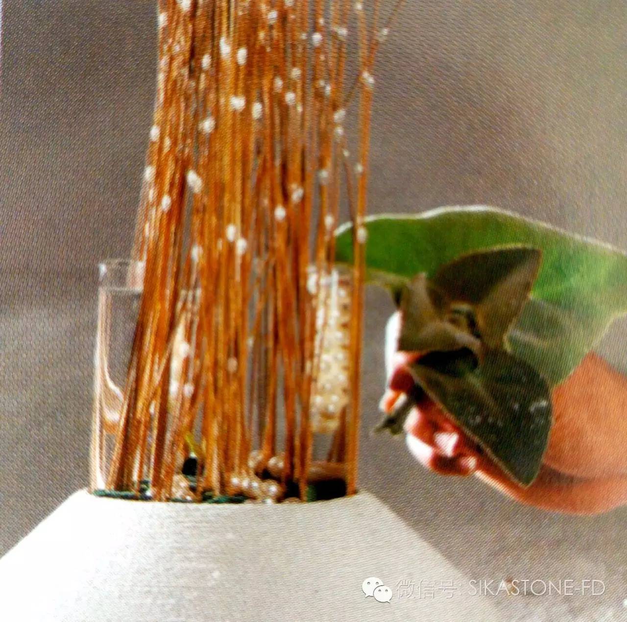 创意花艺教程简单易学,自然式花艺制作全过程