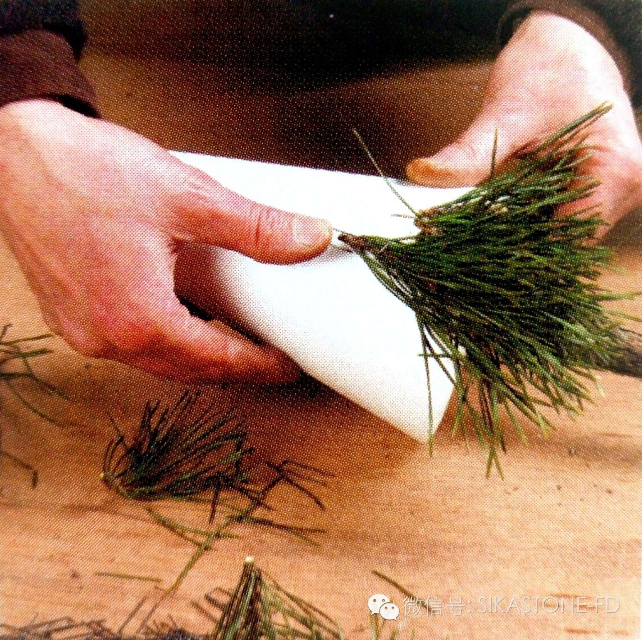 创意花艺教程简单易学,自然式花艺制作全过程