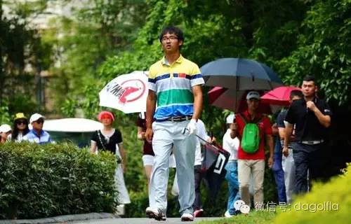 打高尔夫了,打高尔夫最新视频