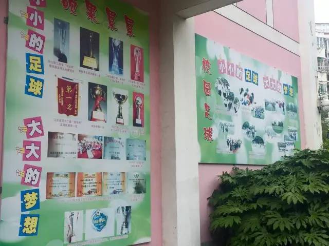 中超苏宁对阵绿城的小球童名单公布，这些萌娃们好腻害！