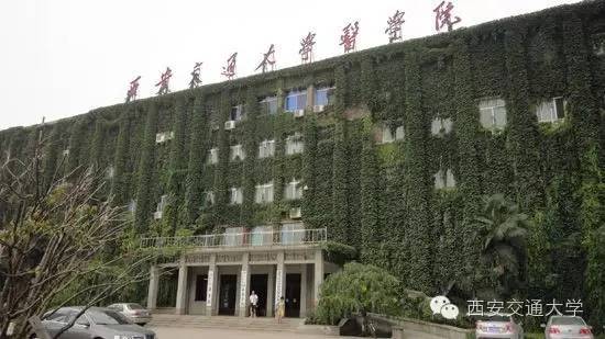 猴年马月最后一天视频,猴年马月有没有重逢的一天