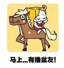 猴年马月实现了吗,猴年马月心愿实现吗