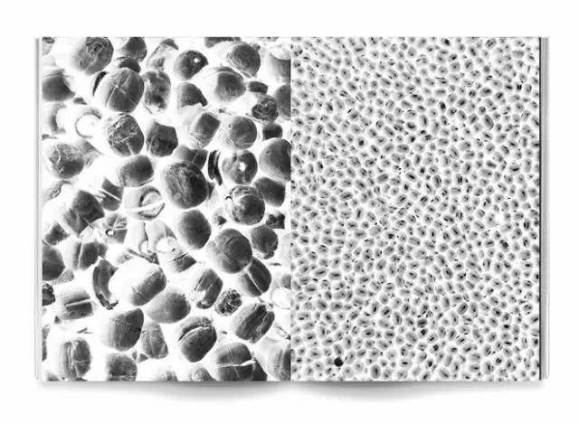 DashilarBazaar·杨梅竹生活月|盛夏同游乐！