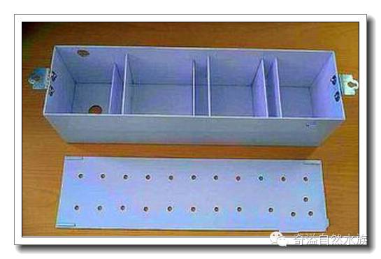 水族新手养鱼攻略,鱼缸养鱼攻略新手必备