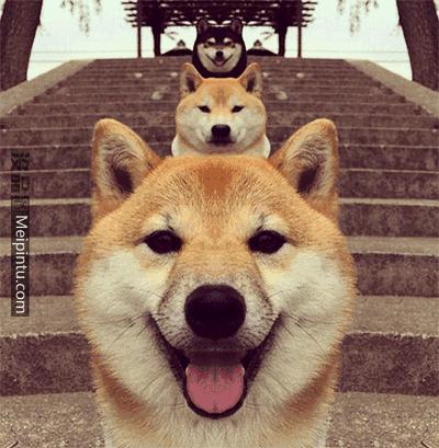 去韩国旅游必知事项大揭秘,去韩国旅游的问题