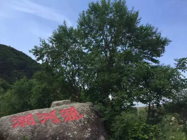 丰宁坝上植树,我去植树