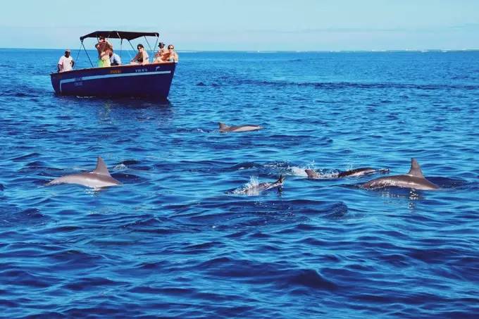 毛里求斯地球上有天堂,毛里求斯旅行感觉