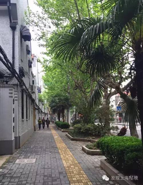 上海永不拓宽的马路列表,上海永不拓宽的风貌路