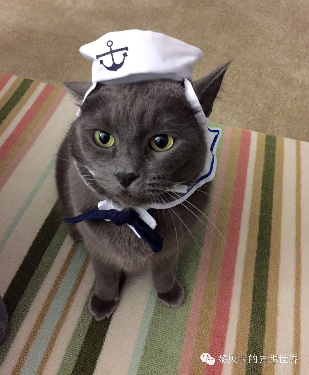 提升生活幸福感的十件小物,提升生活幸福感的小物件分享