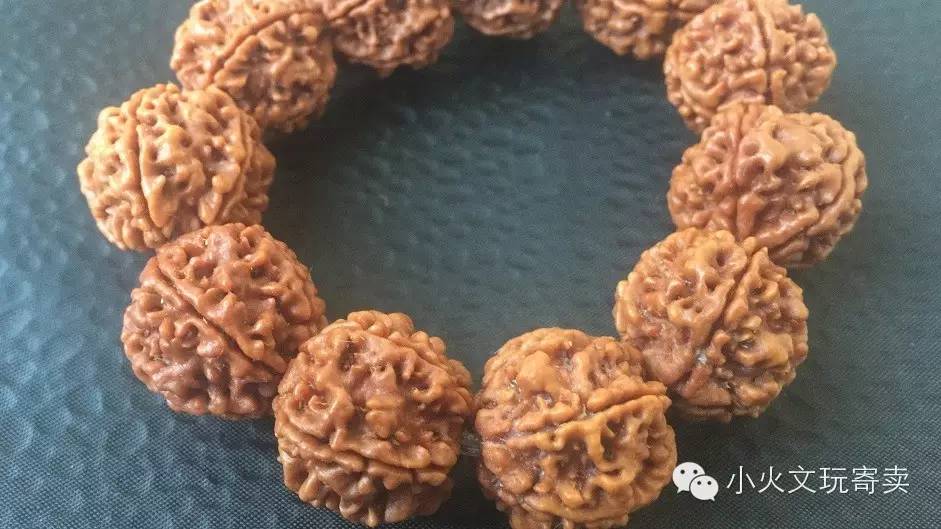 逗逼|大宝和金刚不能说的秘密！