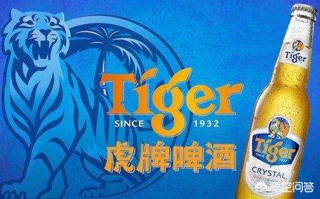 盘点不同牌子的啤酒,各大品牌啤酒口感