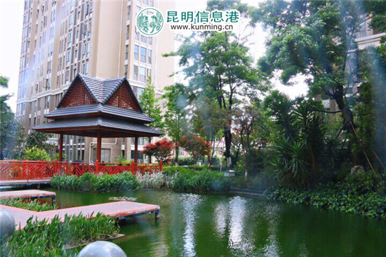 深读：决战城改的西山区福海样本