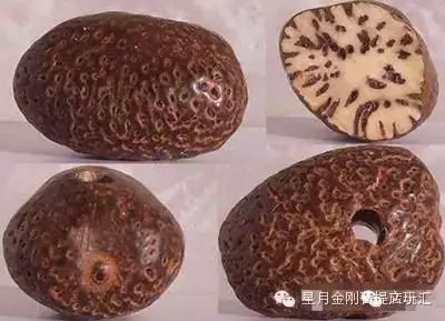 盘点星月菩提的十大问题建议收藏,星月菩提哪种可以玩得最长久