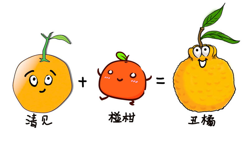 丑八怪在这暧昧的时代像意外