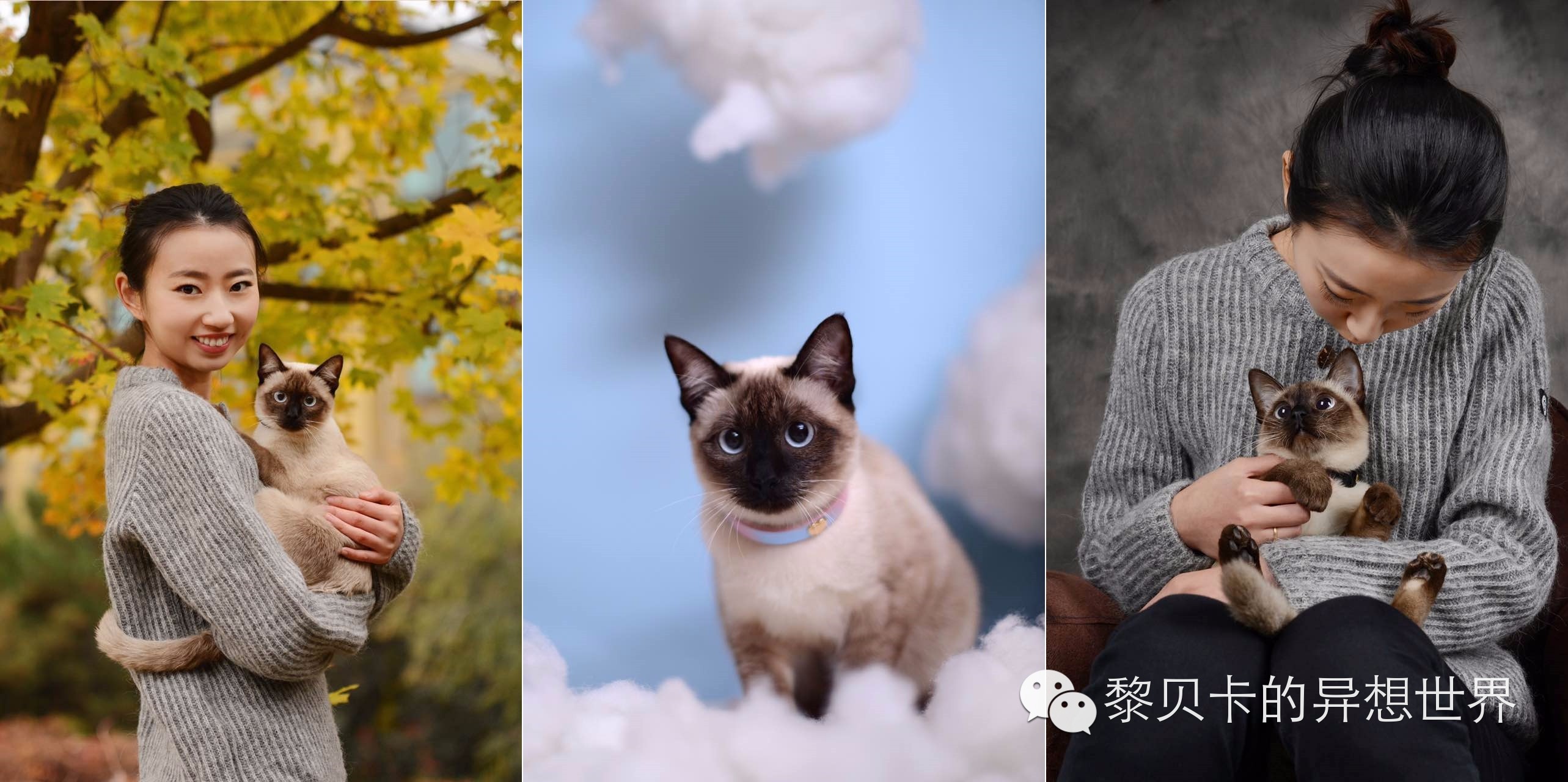 提升生活幸福感的十件小物,提升生活幸福感的小物件分享