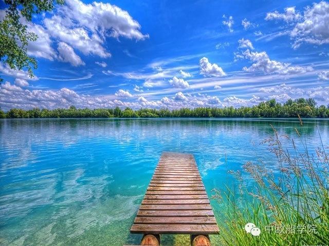 晨报|多班船运价沿用的事实不解释