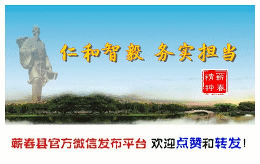 蕲春艾草文化节,蕲春艾草节