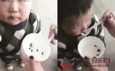 家长喂孩子活蝌蚪,幼童喂活蝌蚪