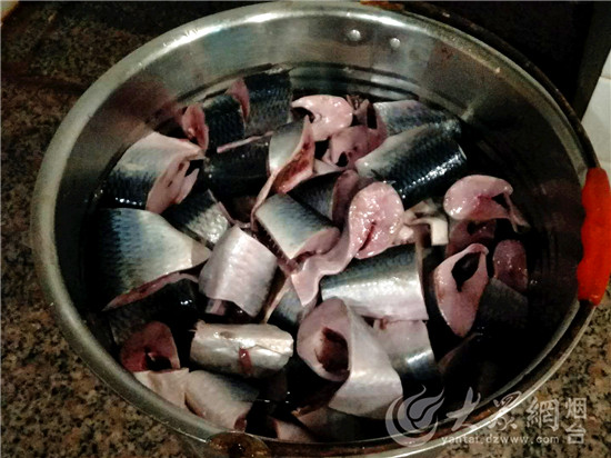 烟台：驯养师与海狮伙伴“贝克”的故事