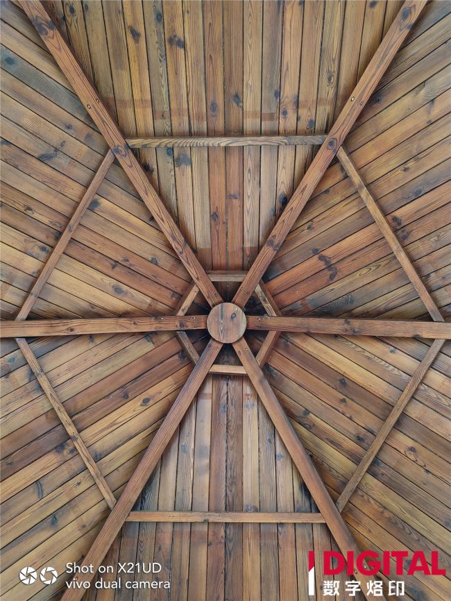 vivox21全面屏指纹版,vivox21屏幕指纹有什么缺点