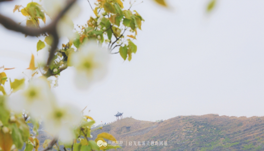 閭ｄ釜杩滄柟鐨勪綘,閭ｄ釜杩滄柟鏄皝鍞辩殑