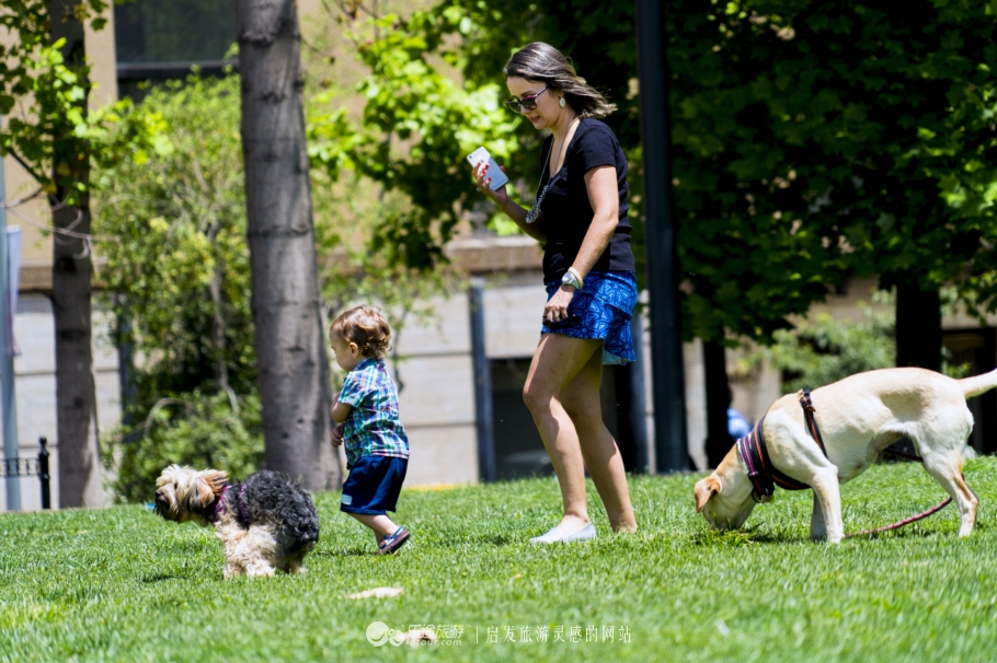 欧洲有亚洲人血统的国家,一个民族为混血种人的国家