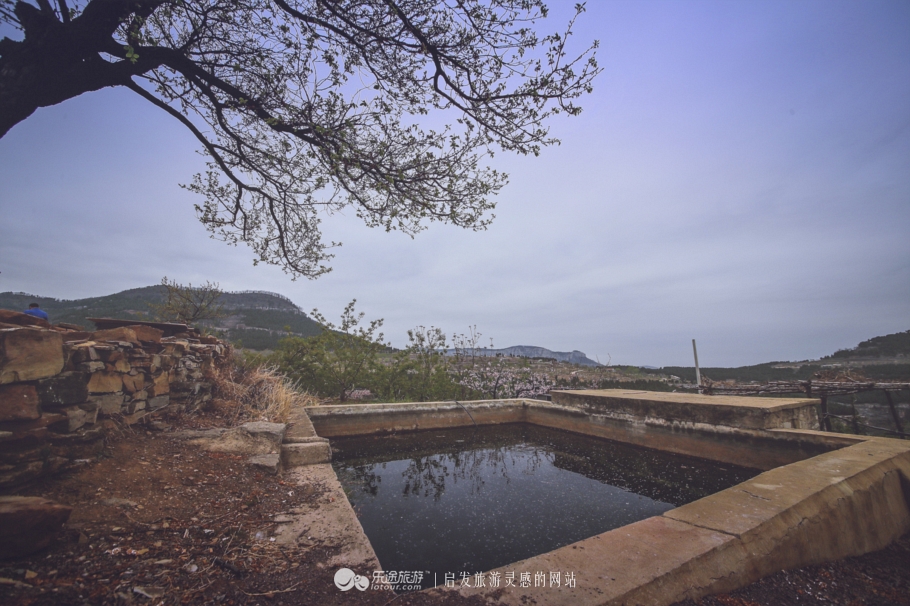 閭ｄ釜杩滄柟鐨勪綘,閭ｄ釜杩滄柟鏄皝鍞辩殑