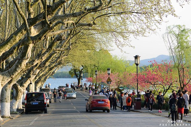 璇楁剰鏉窞瑗挎箹,璇楁剰姹熷崡姊﹂噷姘翠埂