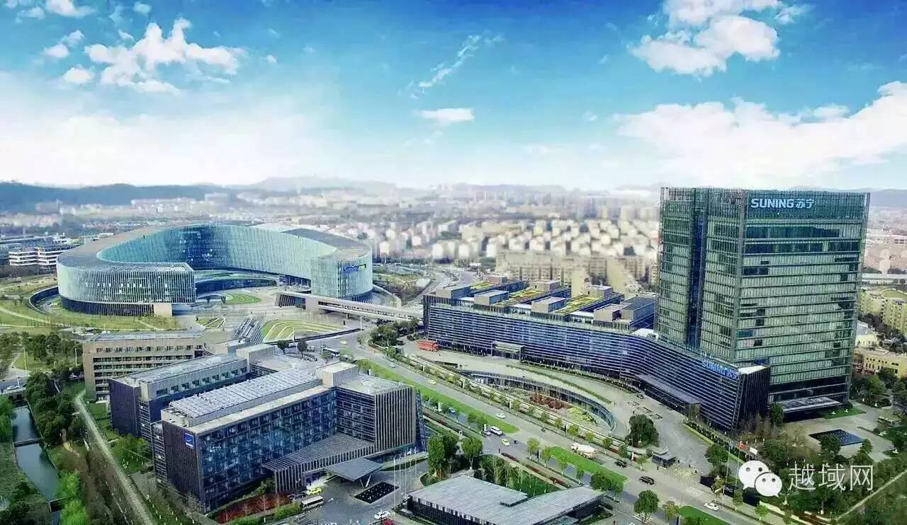 越域专访苏宁全球购：线上布局+线下突围应对新政