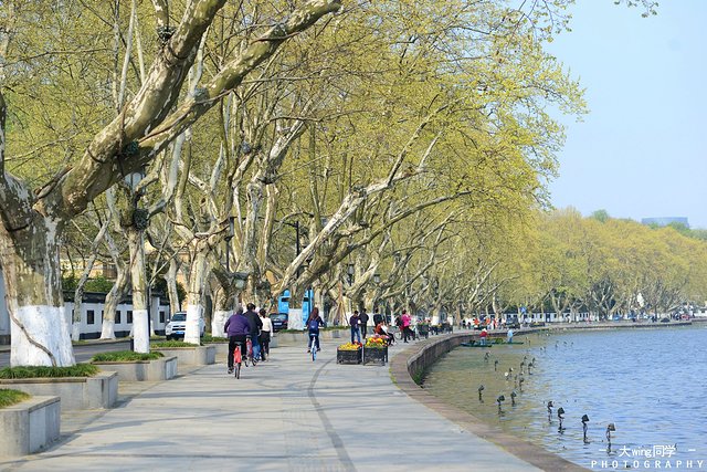 璇楁剰鏉窞瑗挎箹,璇楁剰姹熷崡姊﹂噷姘翠埂
