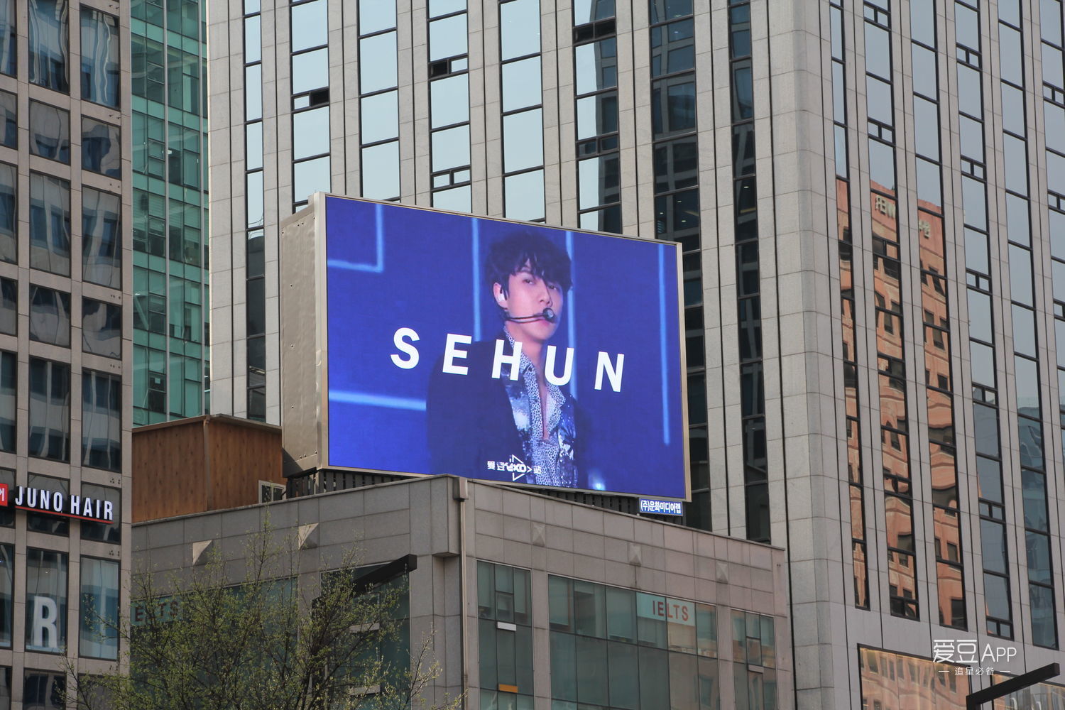 exo吴世勋更新,exo吴世勋最新活动