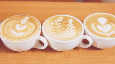 咖啡的科学常识,咖啡怎么喝科学