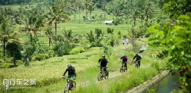 九个建议，让你提升春季骑行的享用！