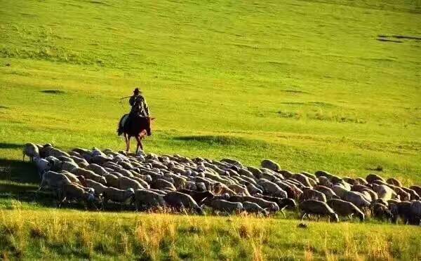 大武口呼伦贝尔风情园烤全羊团购,呼伦贝尔旅游必吃的十大特点美食