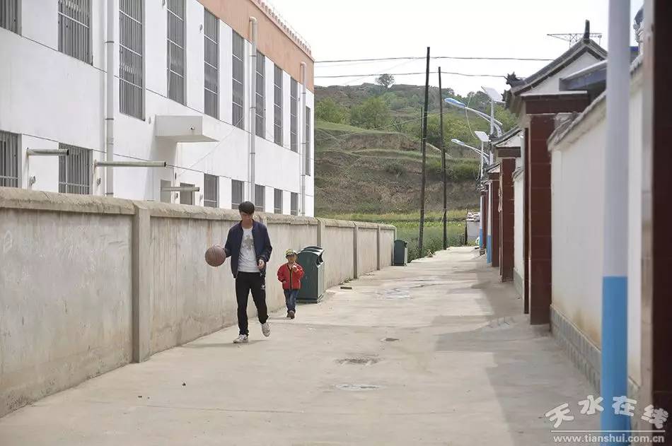 天水市最美乡村谢沟村,天水市麦积区最美村庄