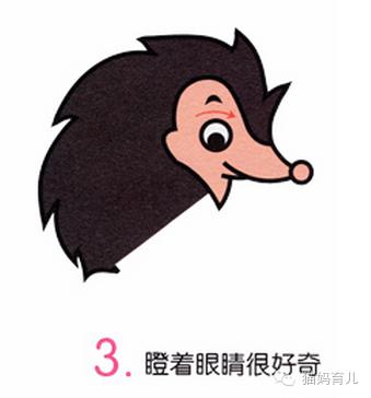 兔子与刺猬童话故事简笔画,小鸡球球和小刺猬简笔画