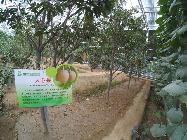 带上小蚁运动相机游潍坊（三）寿光菜博会