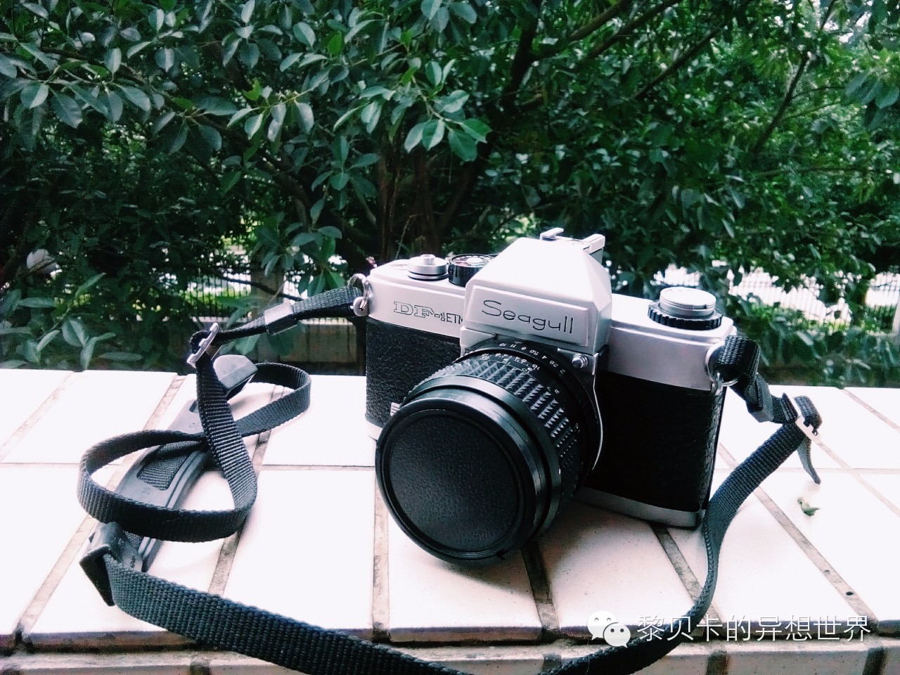 提升生活幸福感的十件小物,提升生活幸福感的小物件分享