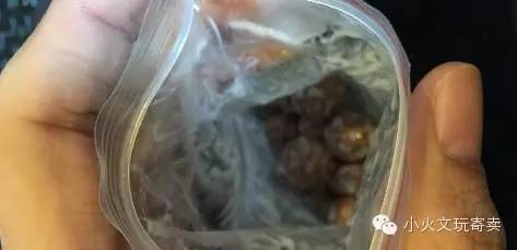 逗逼|大宝和金刚不能说的秘密！