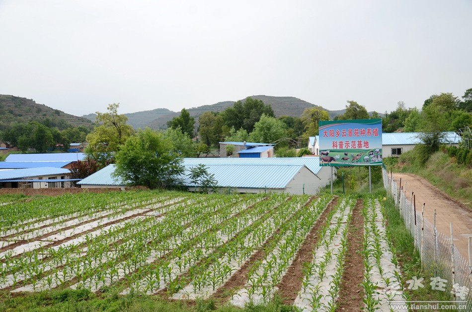 天水市最美乡村谢沟村,天水市麦积区最美村庄