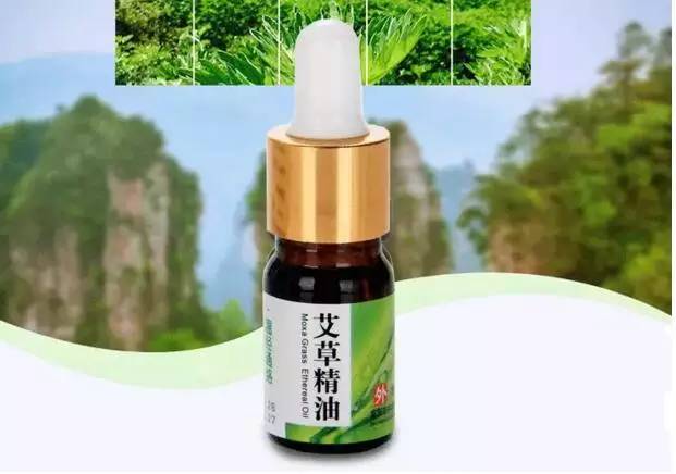 蕲春艾草文化节,蕲春艾草节