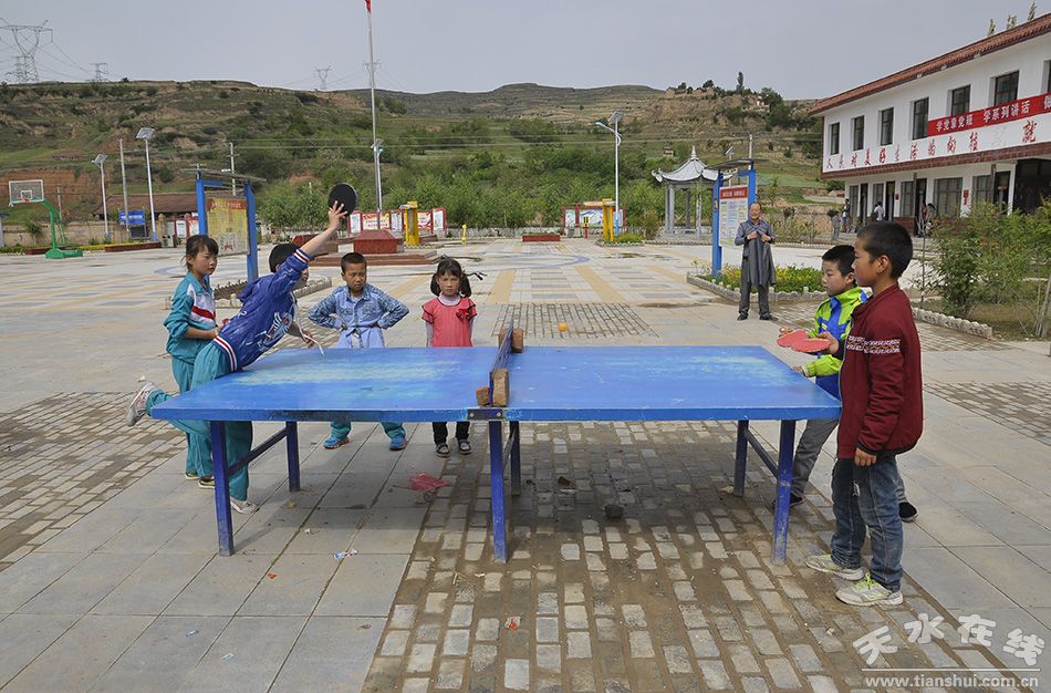 天水市最美乡村谢沟村,天水市麦积区最美村庄