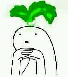 好玩的galgame游戏推荐,女性向galgame游戏推荐