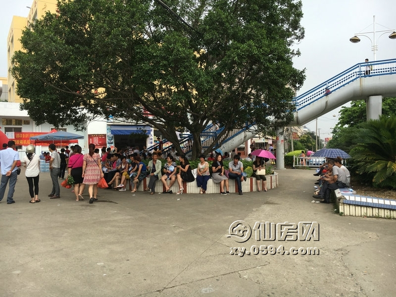 福建莆田高考学生,2016高考莆田