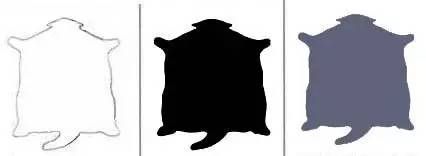 趣说猫历史|原来所有猫咪中性格最好的是你呀！