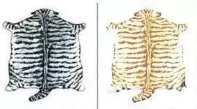 趣说猫历史|原来所有猫咪中性格最好的是你呀！