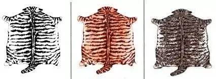 趣说猫历史|原来所有猫咪中性格最好的是你呀！