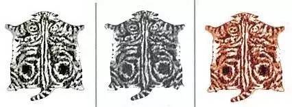 趣说猫历史|原来所有猫咪中性格最好的是你呀！