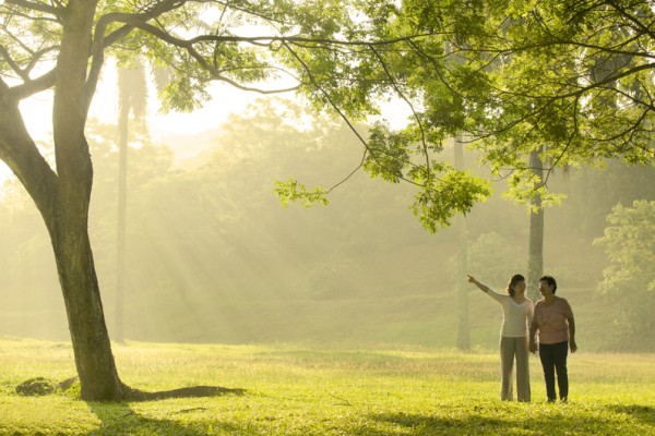母亲节忆逝去的母亲,母亲节感怀四韵