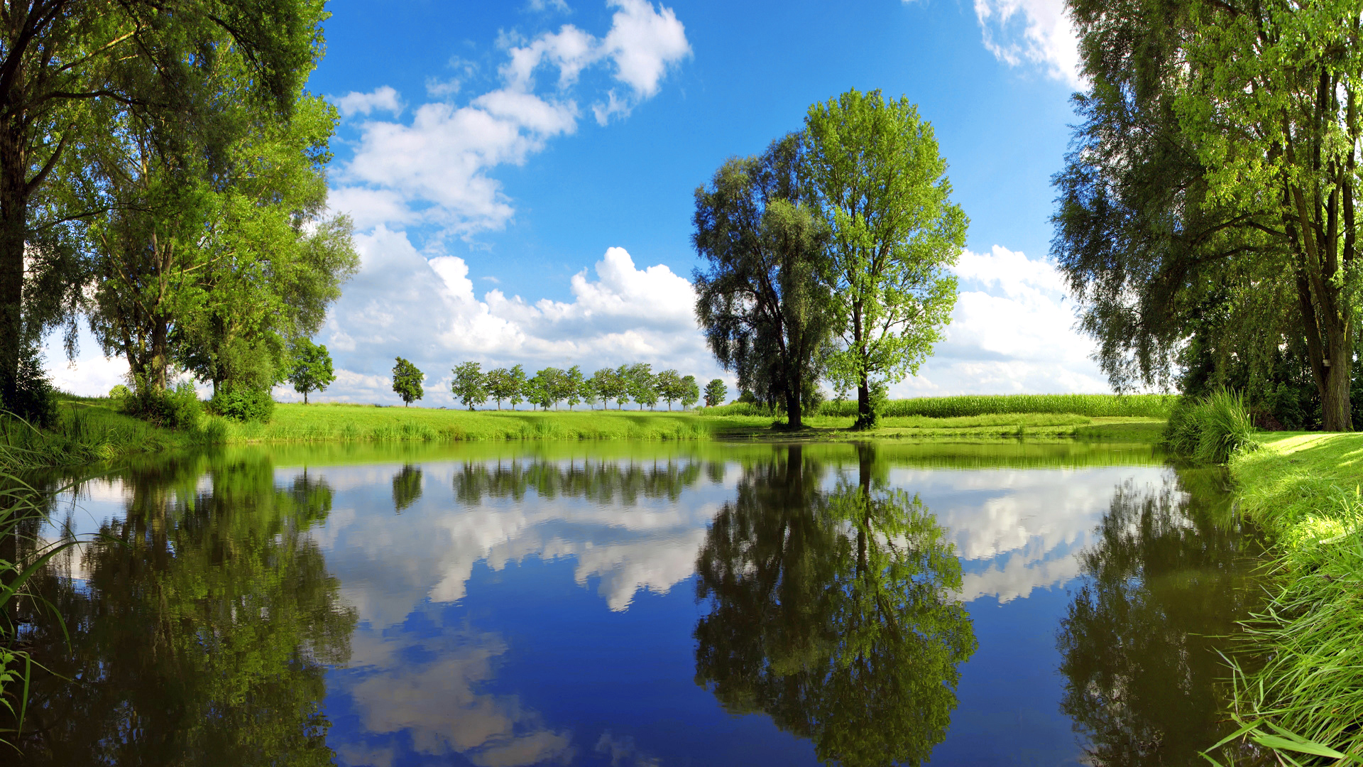 逃跑吧少年电脑版实用技巧,程序员使用电脑的实用技巧